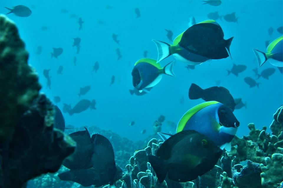 Pulau Weh Paradise サバン エクステリア 写真
