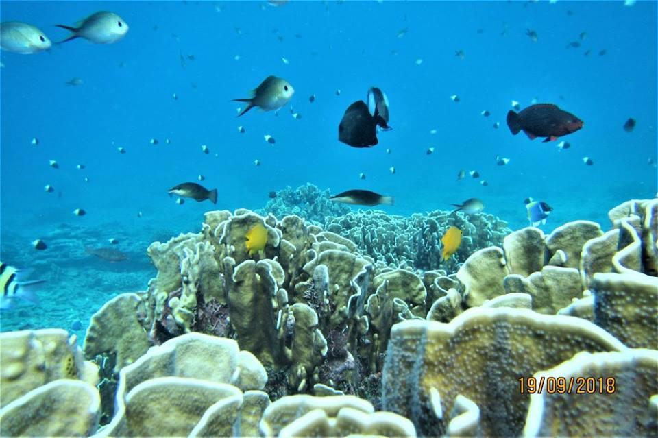 Pulau Weh Paradise サバン エクステリア 写真