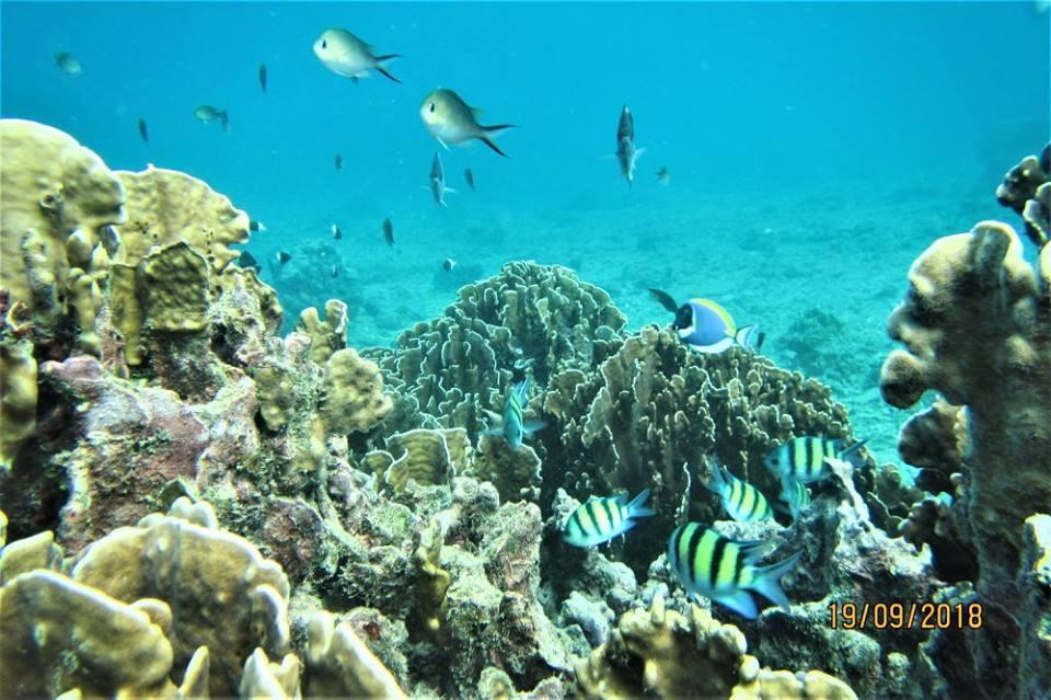 Pulau Weh Paradise サバン エクステリア 写真